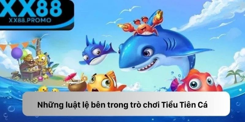 Những luật lệ bên trong trò chơi Tiểu Tiên Cá Những luật lệ bên trong trò chơi Tiểu Tiên Cá